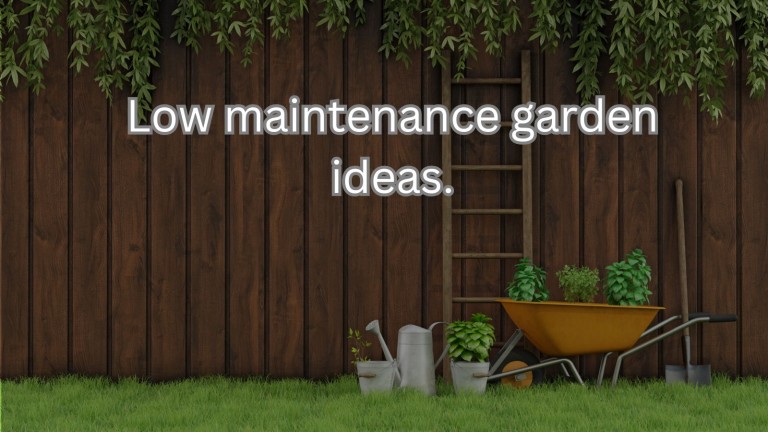 Low Maintenance Garden Ideas: Your Guide to Effortless Gardening