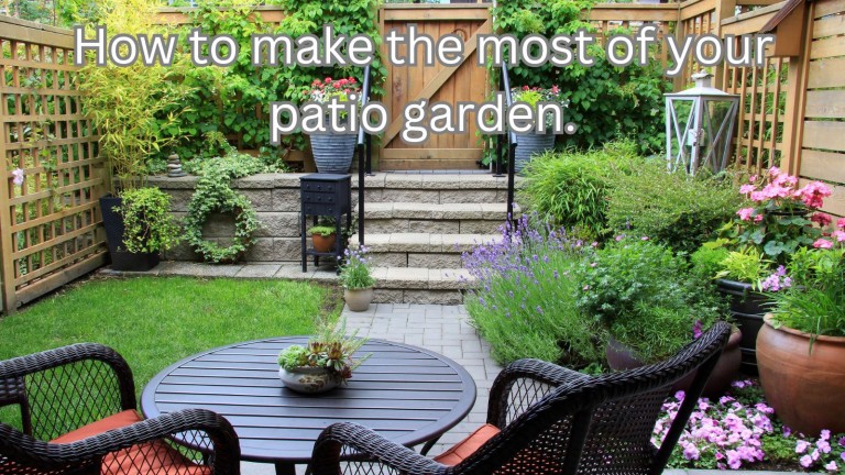 How To Make the Most Of Your Patio Garden