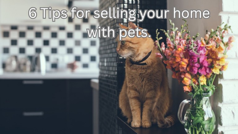 6 Tips for Selling Your Home With Pets