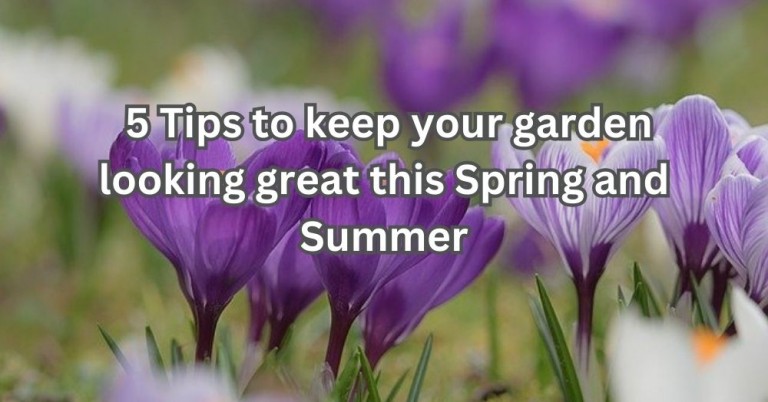 5 Tips to Keep Your Garden Looking Great this Spring and Summer